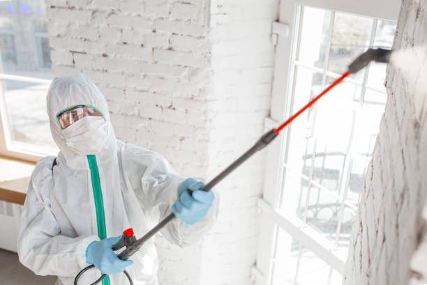 Best Biohazard Mold Removal  in Avis, PA