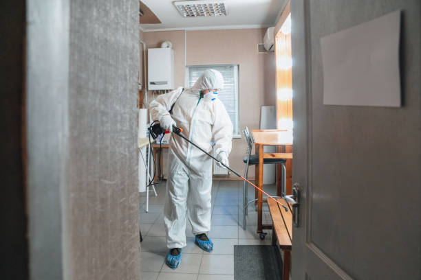 Best Mold Remediation for Healthcare Facilities  in Avis, PA