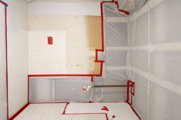  Avis, PA Mold Removal Pros