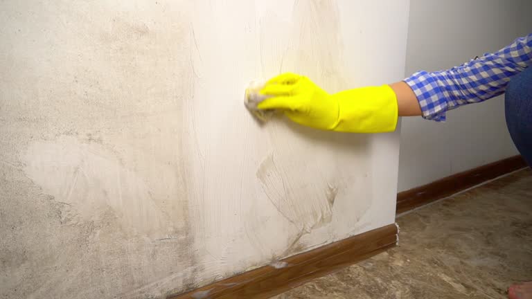 Best Commercial Mold Inspection  in Avis, PA